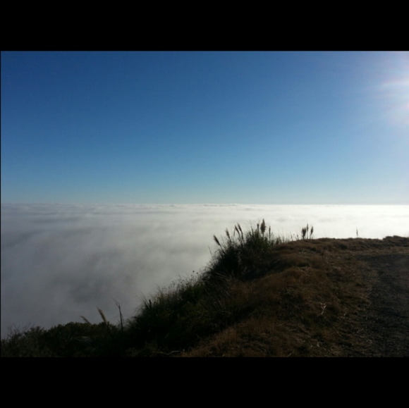 Meet your Posher, Desert Dream Dress - Picture 3 of 6